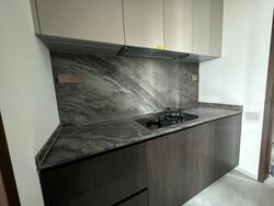 Leedon Green (D10), Condominium #421524151